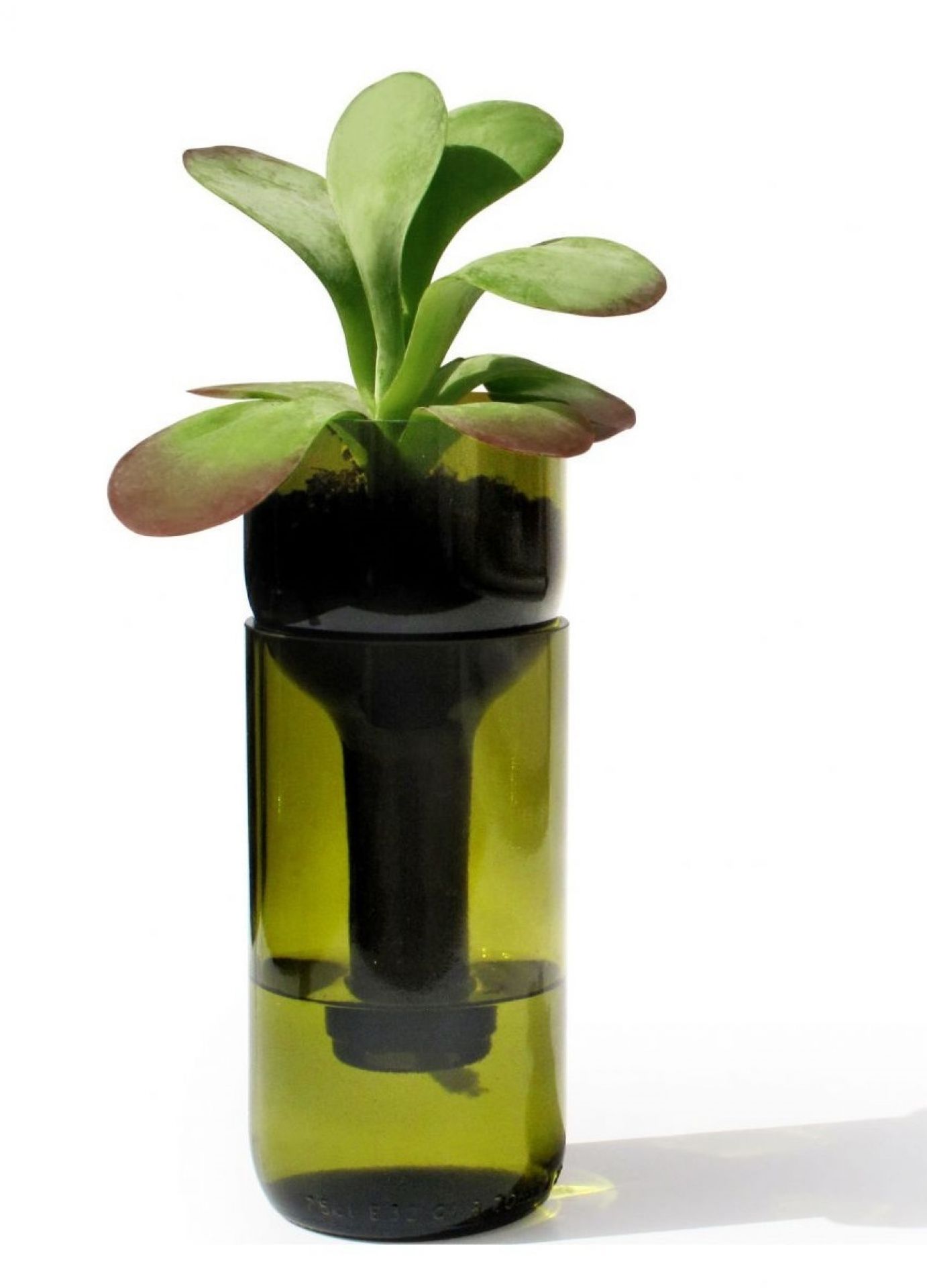 Self Watering Bottle Blumengefäß selbstbewässernd Side by Side EINZELSTÜCK
